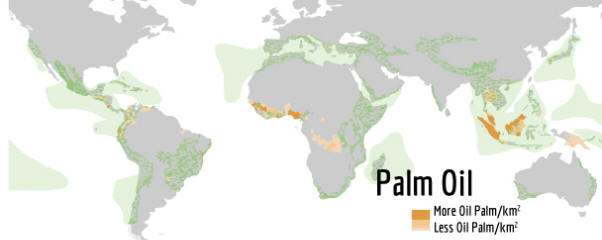 http://peoplefoodandnature.org/wp-content/uploads/sites/4/2014/05/PalmOilHotspotMap.jpg